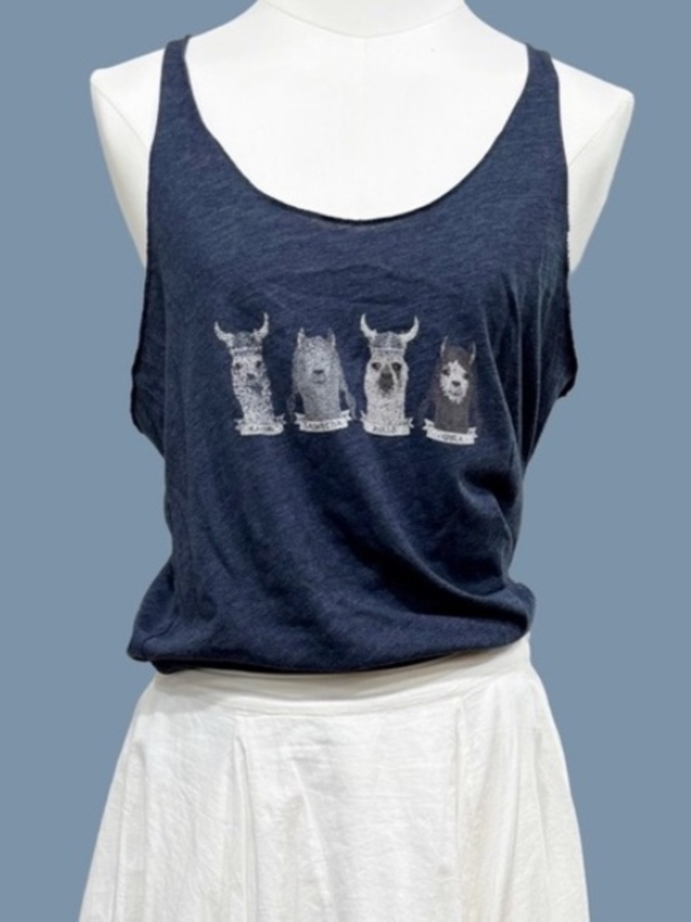 🪁2/$18🪁NEXT LEVEL Tank, alpaca llama Vikings, distressed graphic, cotton